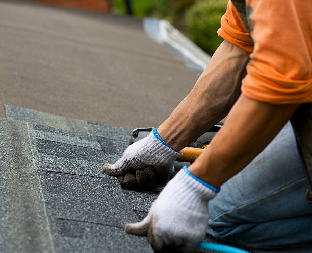 Best Roof Gutter Cleaning  in Buhler, KS